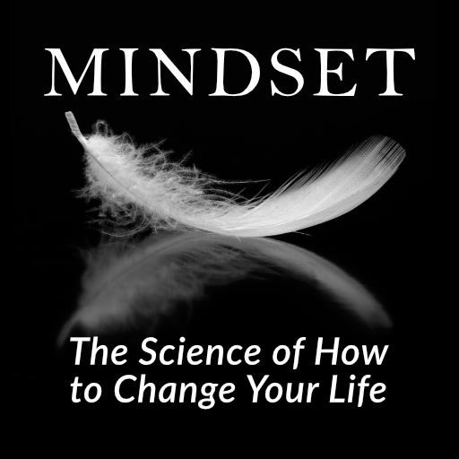 Mindset newsletter from ScottEly.net — The Science of How to Change Your Life